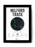 Milford Track #4