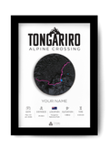 Tongariro Alpine Crossing #3